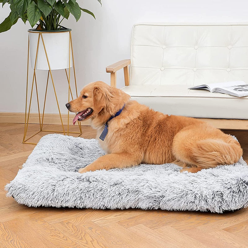 Chic Rectangular Dog Cushion