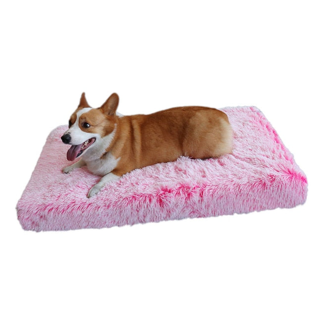 Chic Rectangular Dog Cushion