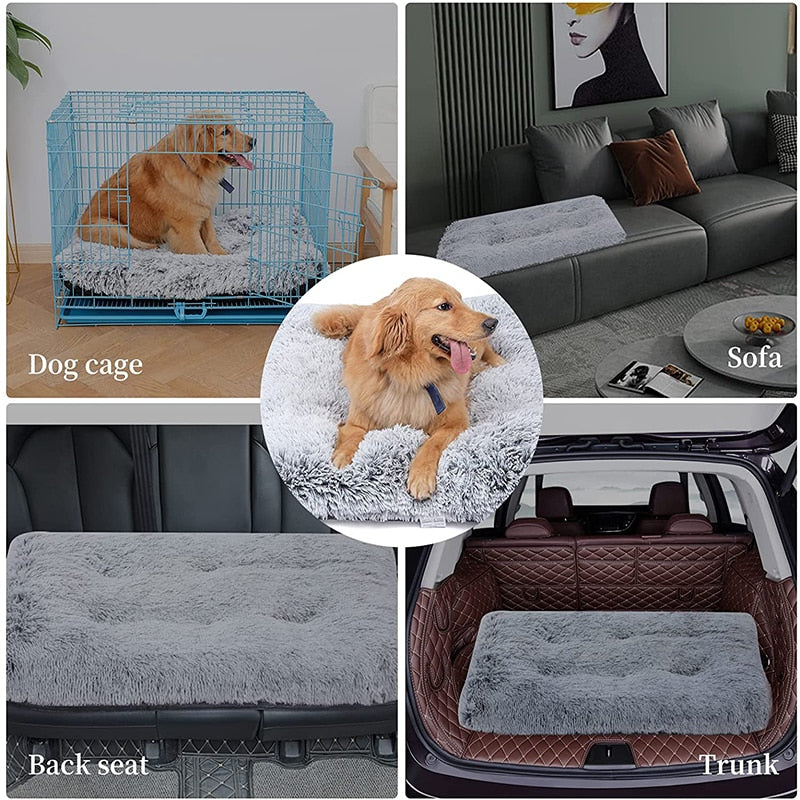 Chic Rectangular Dog Cushion