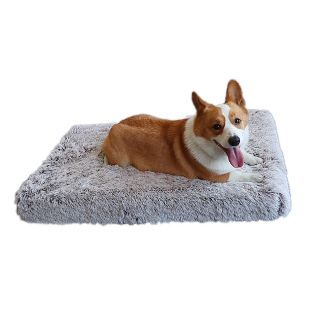Chic Rectangular Dog Cushion