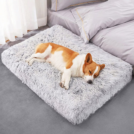 Chic Rectangular Dog Cushion