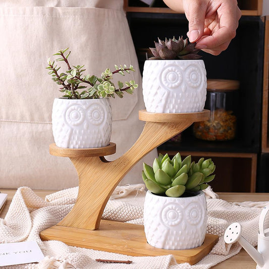 Ceramic Owl Plant Pots with Bamboo Shelf